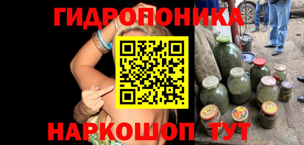 Каннабис гибрид  Бошки марихуана марихуана  Отрадный  Вход с VPN  Шишки марихуана тримм  МАРИХУАНА планчик 
